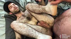 Gayhairy porn