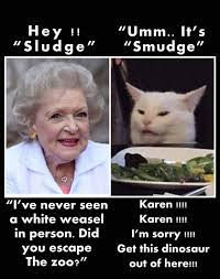 Pin By Burgi Buttinger On Susse Katze Cat Jokes Funny Relatable Memes Clean Funny Memes