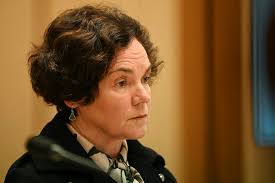 The social engineering of shame': Rick Morton's Mean Streak exposes the  populism behind the unlawful robodebt scheme