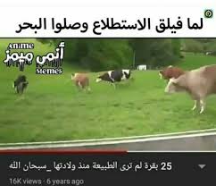 pin by mikasa ackerman on anime memes funny picture jokes anime jokes anime funny