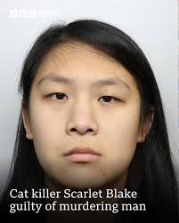 A woman obsessed with death who once livestreamed the killing of a cat has  been found guilty of murdering a man. The body of Jorge Martin Carreno was  pulled from the River