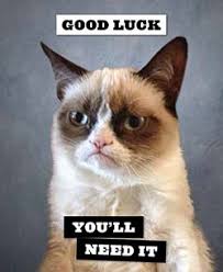 Top suggestions for good luck to you meme. Good Luck Cat Quotes Quotesgram