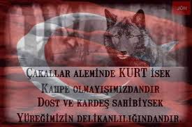 Yunus Adiguzel Gercekler Yunus Mutlu