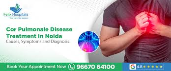 Image result for Cor Pulmonale