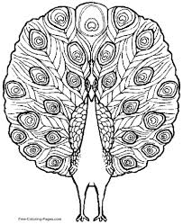 There are three main categories of colors: Coloring Pages Of Birds
