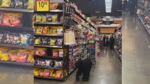 Bear In Grocery Store Nbc 7 San Diego