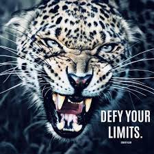 Discover More Top Motivational Quotes Guaranteed To Inspire You On Our Instagram Inspirational Mantras And Inspir Picture Quotes Success Pictures Animals Wild