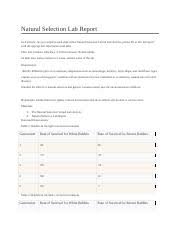 Natural selection student guide answer key : 5 02 Rtf Natural Selection Lab Report Instructions As You Complete Each Slide Of The Natural Selection Virtual Lab Activity Please Fill In This Lab Course Hero