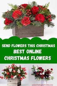 Send one of our christmas floral arrangements, plants or gourmet treats and make anyone's christmas merry! Best Online Christmas Flowers Finding Sea Turtles