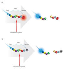 نتیجه جستجوی لغت [fret] در گوگل