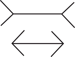 We did not find results for: The Muller Lyer Illusion Muller Lyer 1889 Knowing That The Two Download Scientific Diagram