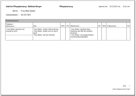 70 wunderbar pflegeplanung leere vorlage galerie. Pflegeplanung Schnell Einfach 1 1 Bei Freeware Download Com