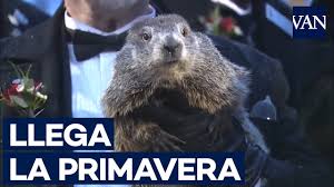 ¿no podría ser la marmota saliendo cada año de su madriguera el. Dia De La Marmota 2021 Que Significa Este Dia