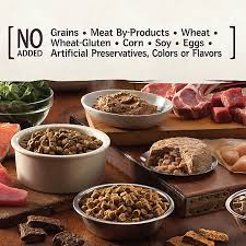 Giving them a healthy option that will help them grow at a steady pace. Wellness Core Puppy Food Natural Grain Free Dog Dry Food Petsmart