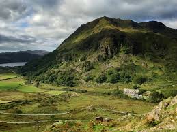 This blog is designed to celebrate the welsh countryside and to explore how we, as people and organisations, interact with its flora and fauna. Welsh Countryside