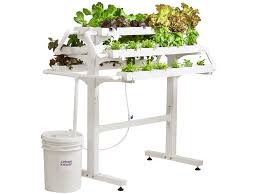 To know, you'll need to learn about the. Hydroponic Farming Kit From Urban Kisaan Set Your Indoor Garden Today
