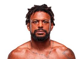 Michael Johnson (Peso Ligero) Perfil de MMA
