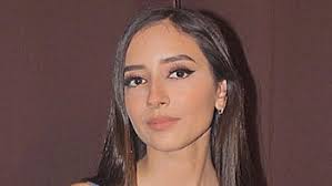 They put statements from the friends of Debanhi Escobar, the young woman  who disappeared in Nuevo León, under the magnifying glass