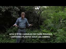 Outillage jardin et foret il y a 279 produits. La Foret Jardin De Martin Crawford En Francais Youtube