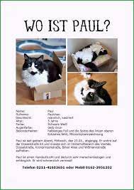 Check spelling or type a new query. 36 Katze Von Der Seite Zeichnen Besten Bilder Von Ausmalbilder