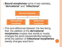 Incompletion word trees for each word below, draw a word tree. Bound Morphemes Bound And Free Morpheme Examples