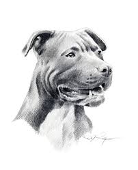Http Img0 Etsystatic Com 000 0 5288420 Il Fullxfull 65258596 Jpg Pitbull Terrier Dog Print Art American Pitbull Terrier