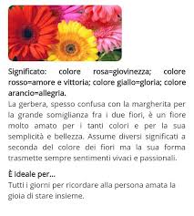 Visualizza altre idee su margherite, fiori, bellissimi fiori. Pin Su Fiori E Piante