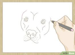 Check spelling or type a new query. How To Draw A Pitbull With Pictures Wikihow