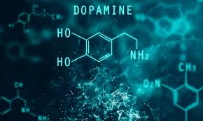 Image result for Dopamine
