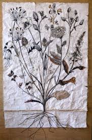 Hortus Siccus Opinata, 1790 by Kari Englehardt