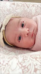 I Dreamed of Moments Like This Meme