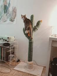 Check out the riverncats cactus for cats over on etsy! Cactus For Cats Catcus Scratching Post Cat Tree Boho Etsy Cat Scratching Post Cats Cat Tree Designs