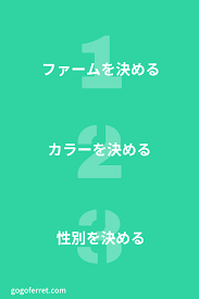 フェレットを選ぶ３つのポイント エキゾチックアニマル 体格 インフォグラフィック