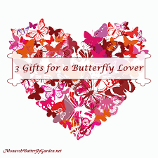 Looking for a valentines gift for your guy? 6 Valentine Gift Ideas For A Butterfly Lover Or Friend