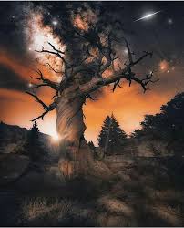 Lighting Apparatus Equipment Night Sky Light Space Stars Landscape Snow Dark Amazing Beauty Excitement Qualit Night Skies Sky Nature Is Speaking