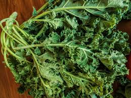 Image result for kadeřávek