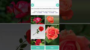 So no coding knowledge is required! Free Mobile Android App Maker Builder Creator Convert Wordpress Website To Webview App Apk App Builders Guide
