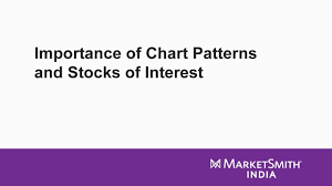Importance Of Chart Patterns And Stocks Of Interest Marketsmith India Webinar Feb 05 2019