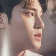 세븐틴 소셜클럽 AL FINE ver. 양도 (포카 포함)