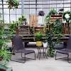At the family tree garden center in snellville, ga we are a one stop shop with everything you will need to make your yard or garden the very best it can be. Https Encrypted Tbn0 Gstatic Com Images Q Tbn And9gctuucgl4lekofssqdnywnqvjeztaun24 Hsaw6zfjtm14hnuvcf Usqp Cau