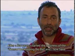 Ein Fenster zu den Höfen