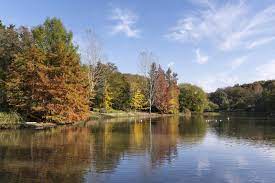 Belgrade is one of the oldest cities in europe with settlements continuously existing here for at least 7000 years. Belgrad Forest Top Things To Do See Where How To Get