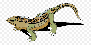 To add an image, drag the image or click the the + icon. Desert Habitat Resources Desert Animals Clipart Stunning Free Transparent Png Clipart Images Free Download