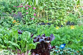 Wonderful Small Garden Plan New