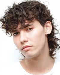 15+ Hottest Wolf Cut for Men 2025: Trend Every Guy Should Try.