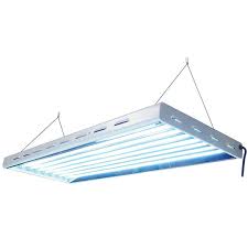 T5 fluorescent grow light bulbs. Sun Blaze T5 Fluorescent Plant Grow Lights From Acf Greenhouses