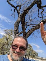 Punk prickly pear growing 15 feet up in oak tree