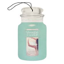 Catching Rays Car Jar Single Paperboard Yankee Candle