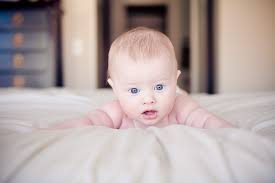 Maybe you would like to learn more about one of these? Photo Find 5 Lauren Kloosterman Photography One