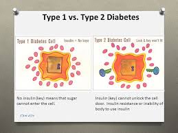 Read on for a quick explanation of these terms. Diabetes Basics Kbn Understanding Diabetes O Complex Disease O Digestion Breaks Down Carbohydrates Sugar Glucose O Sugar Bloodstream O Insulin Ppt Download
